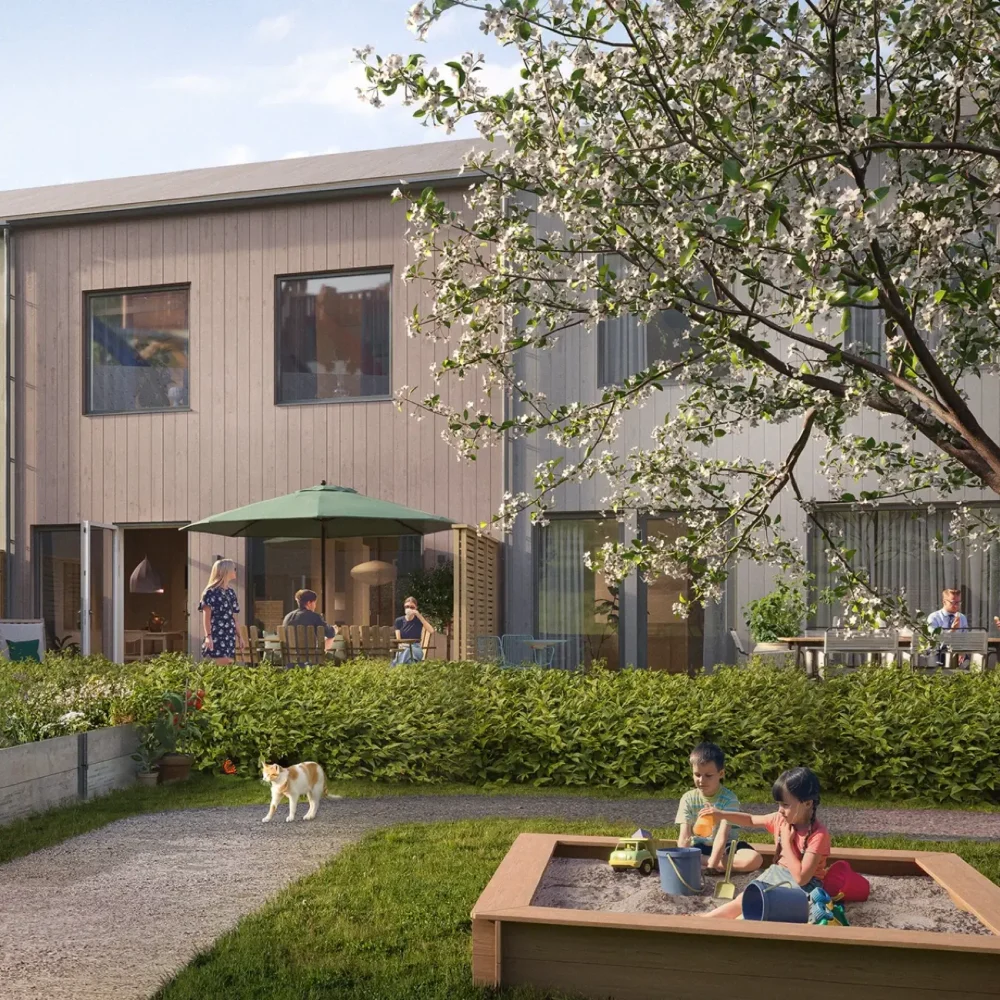 half-img-lotshammar-16